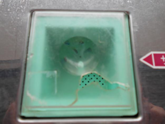 タイガー 中古 催芽機