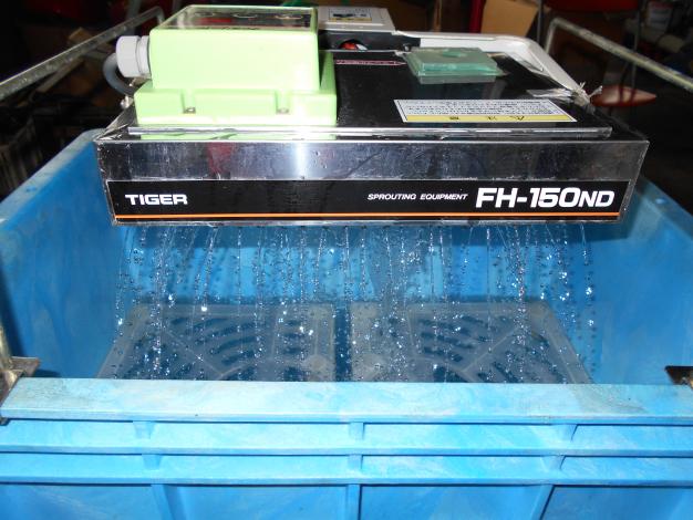 タイガー 中古 催芽機