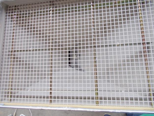 マルマス　中古　石抜き機