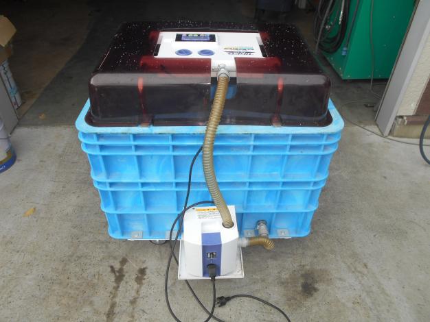 タイガー 中古 催芽機