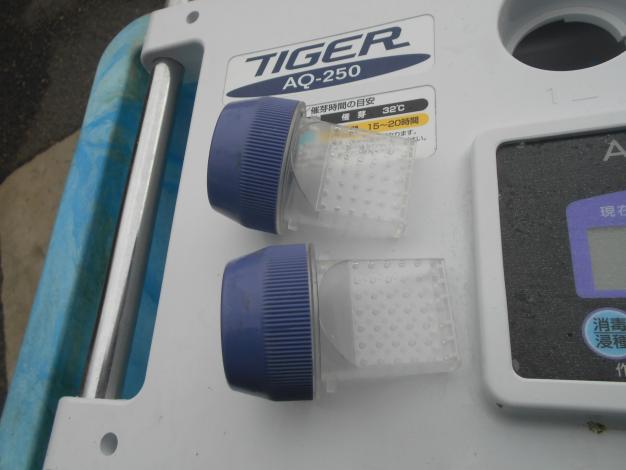 タイガー 中古 催芽機
