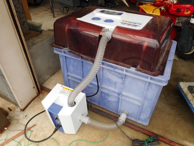 タイガーカワシマ　ハトムネ催芽機