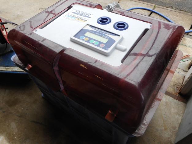 タイガーカワシマ　ハトムネ催芽機